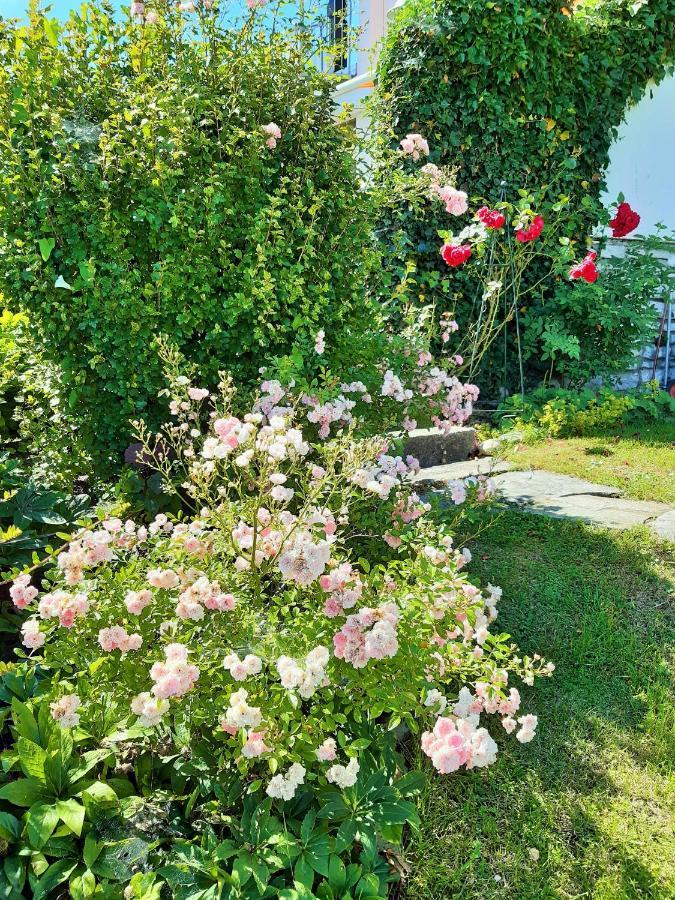 Hotel/Pension Rosengarten Franking Bagian luar foto